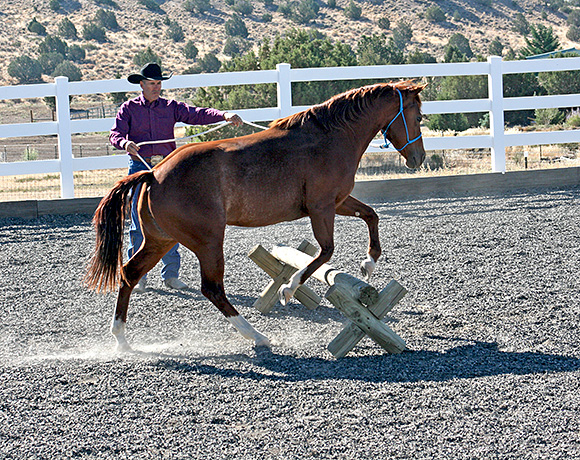 Sending my horse over an obstacle