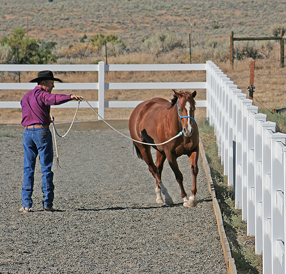 Pass By exercise