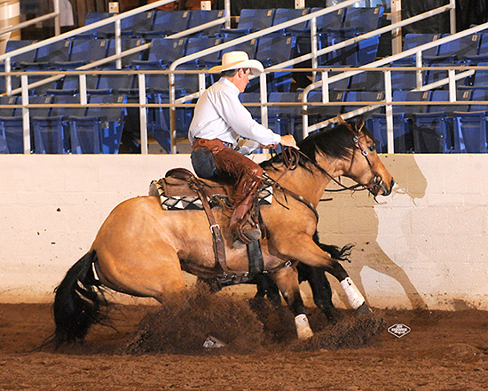 Charlie and Richards fence work at the AQHA show.