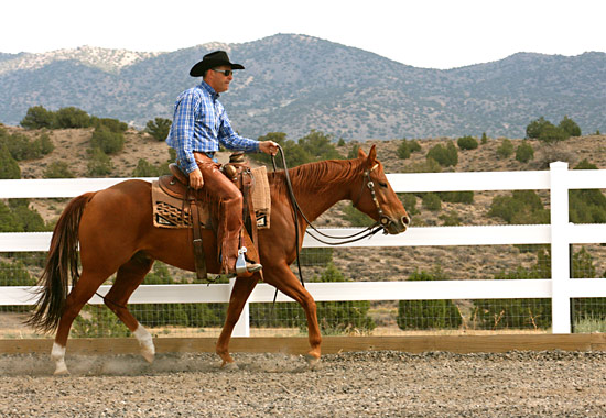 With loose reins Im allowing my horse to travel forward freely.