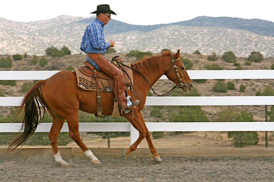 Riding with an independent seat without handling the reins.