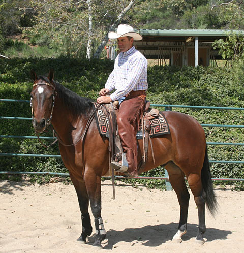 Correct; My horse is standing relaxed with loose, neutral reins