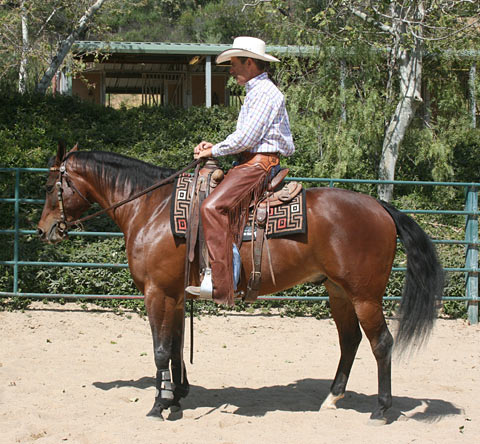 Incorrect; My horse is standing still and I continue to hold tight reins