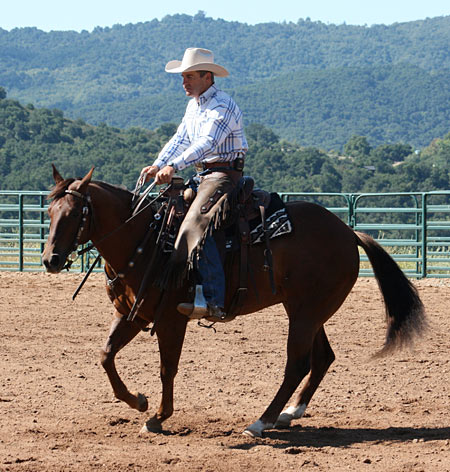 Controlling the front end with a left direct rein and a right supporting rein.