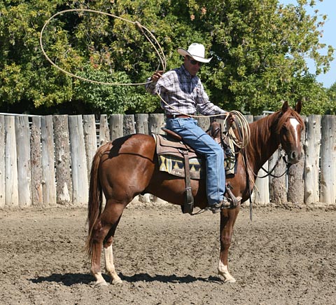 Richard Winters teaches you and your horse about ropes. Starting out with just a couple side-arm swings