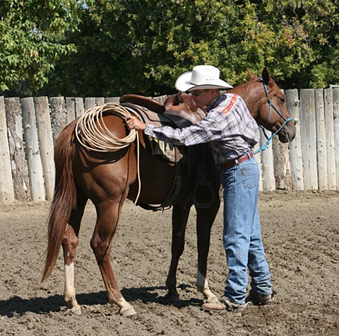 Preparation means rubbing my horse all over his body with the “lariat” rope.