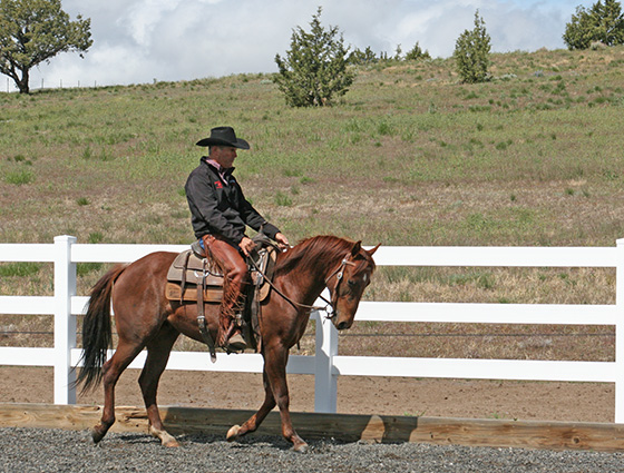 Teaching the soft frame begins as the horse learns to back up.