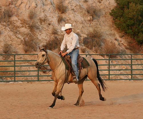 Do as little as possible to keep your horse on track.