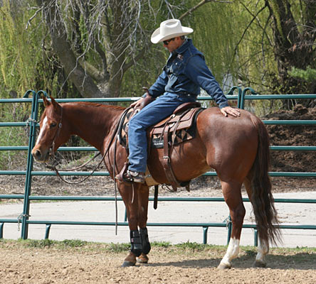 Being at the other end of the arena is where my horse gets to rest.