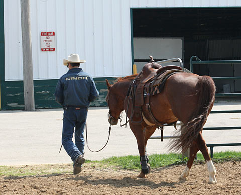  Leading my horse out of the arena, rather than riding out, will keep him balanced.        