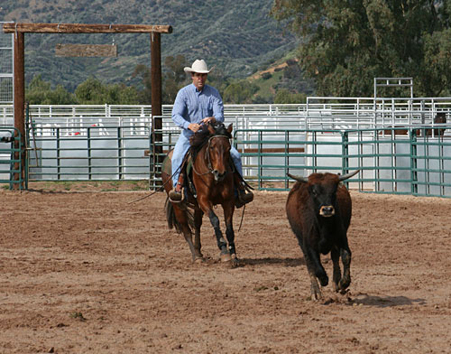 Controlling Horses Speed