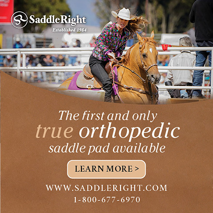 Orthopedic Saddle Pad for Horses