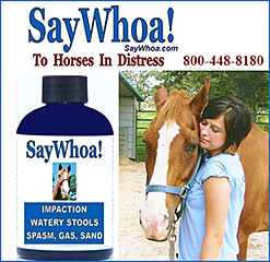 Horse Colic Treatment