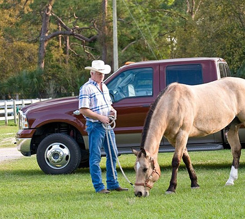 Understanding our horse's digestive system.