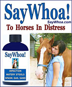 Horse Colic Treatment