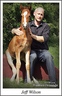 Jeff Wilson Jeff Wilson