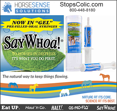 Horse Colic Treatment SayWhoa