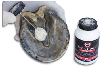 Horse Hoof Conditioner