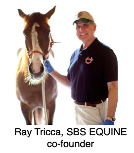 Ray Tricca, SBS EQUINE co-founder