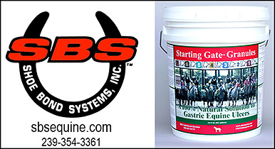 SBS Equine Starting Gate Granules for ulcer support of horses.