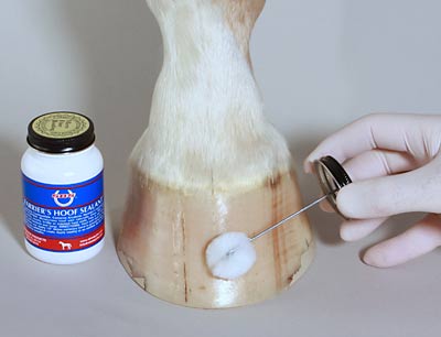 Hoof Sealants