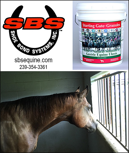 SBS Horse Ulcer Supplement Starting Gate