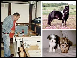 Clipper Blade Sharpening Services