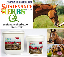 Herbs for Horses