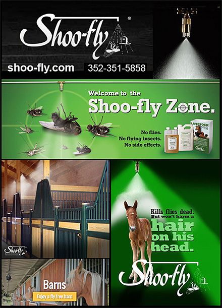Fly Control for Horses
