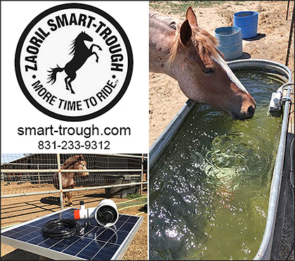 Horse Water Trough Mosquito Control