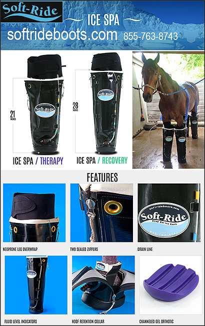 Soft-Ride Ice Therapy Boots for Horses