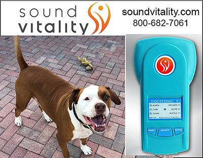 soundvitalitydogspon