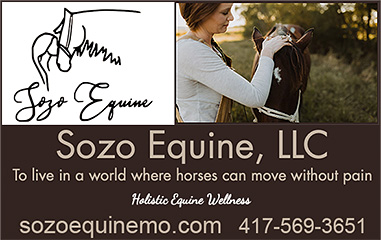 Sozo Equine LLC. Kinesiology taping for horses.