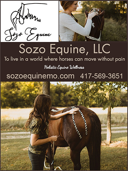 Sozo Equine Horse Wellness