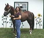 Ann with Morgan Horse Splendor