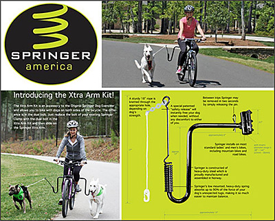 springer america dog exerciser