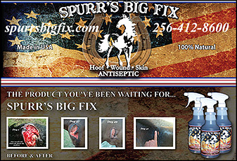 Spurr's Big Fix Horse Antiseptic