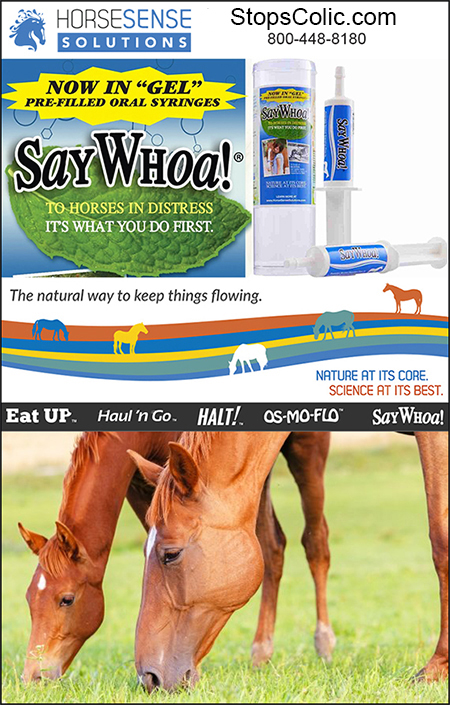 Horse Colic Treatment SayWhoa