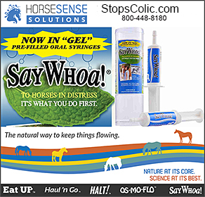 Horse Colic Treatment SayWhoa