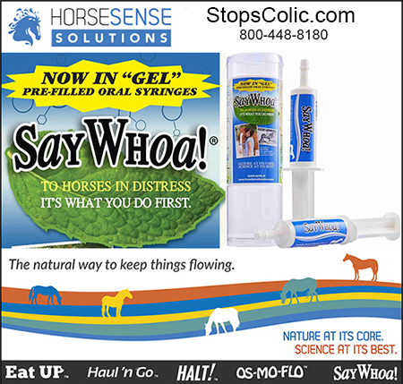 Horse Colic Treatment SayWhoa