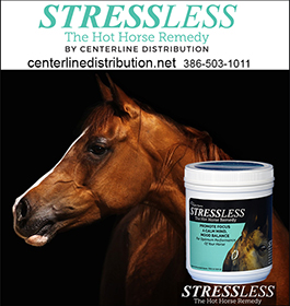StressLess Horse Calming Supplement