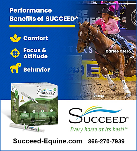 Succeed Horse Helath Support Supplement
