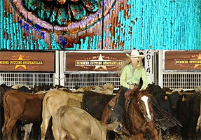 Horse Communication by Sue Ann Smith