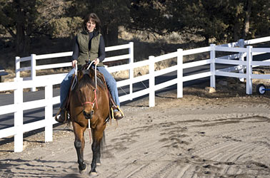 Horse Stable