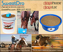 SweetPro Horse Health Supplements