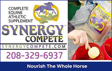 All in One Horse Health Supplement by Synergy Compete.