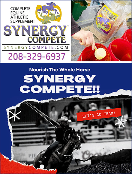 Barrekk Horse Health Supplement by Synergy Compete
