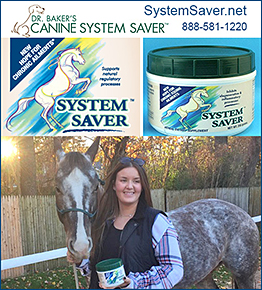 Horse Health System Saver