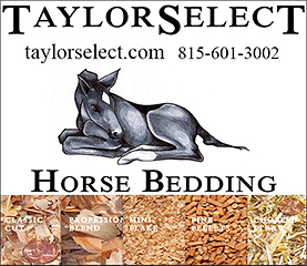 Taylor Select Pine Horse Bedding