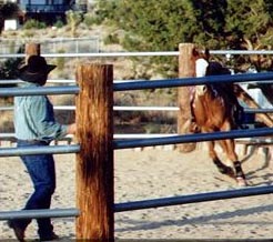 Ed Thornton demonstrates the round pen.